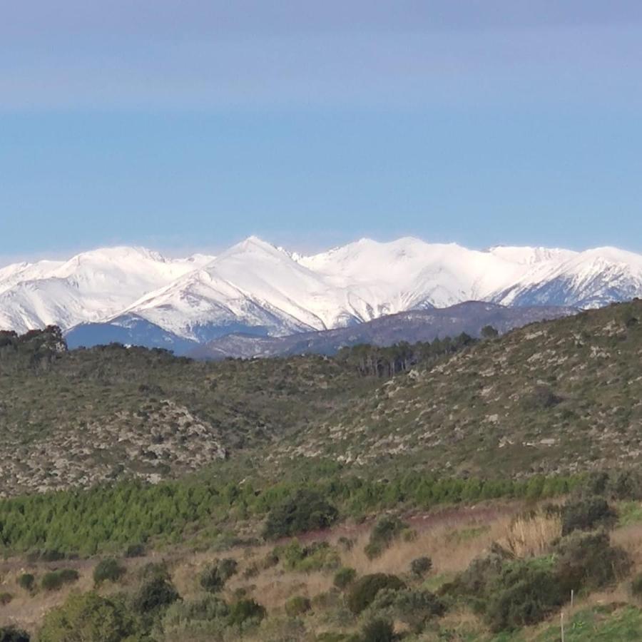 Casa Rural Cal Fuster Experience Terrades المظهر الخارجي الصورة
